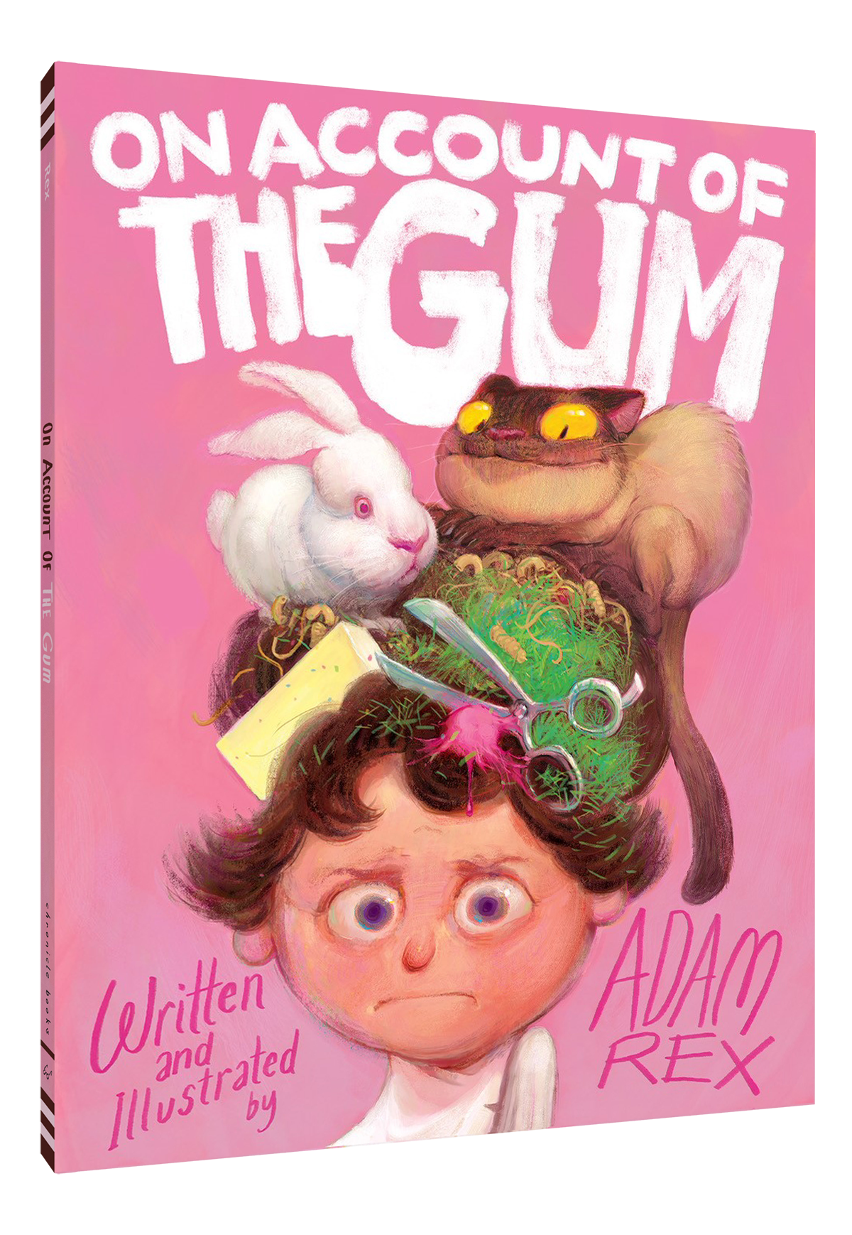 Book cover of 'On Account of the Gum' with a pink background and illustrations of a rabbit, cat, and other objects on a person's head.
