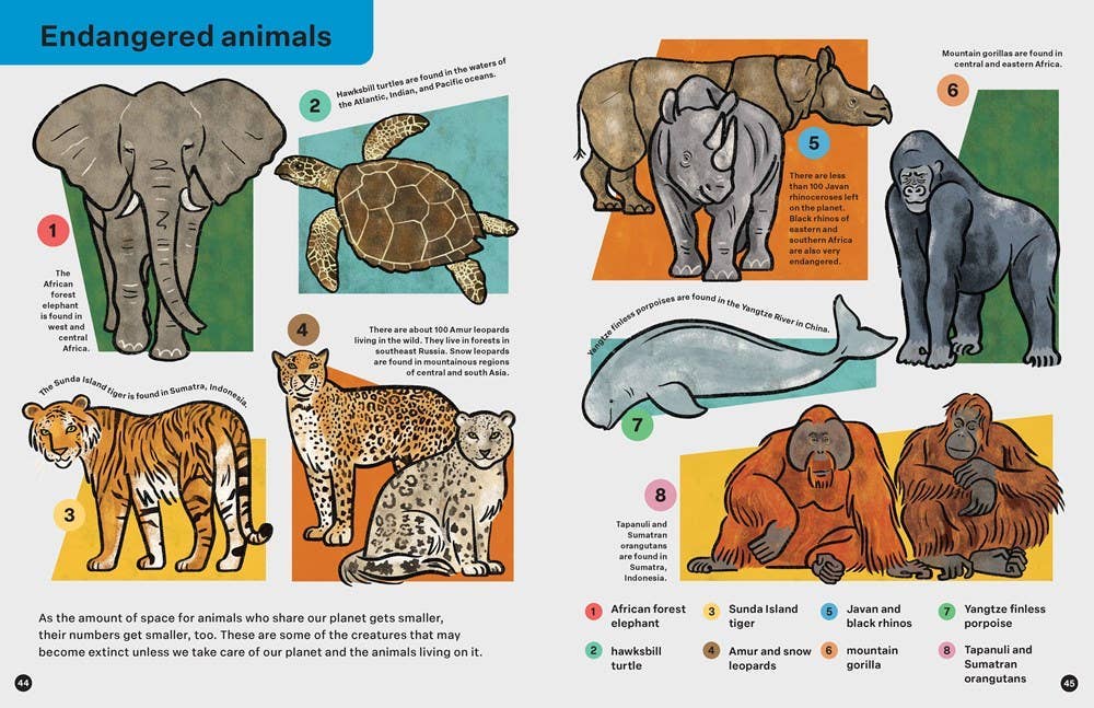 Spring Street Discover: Animals