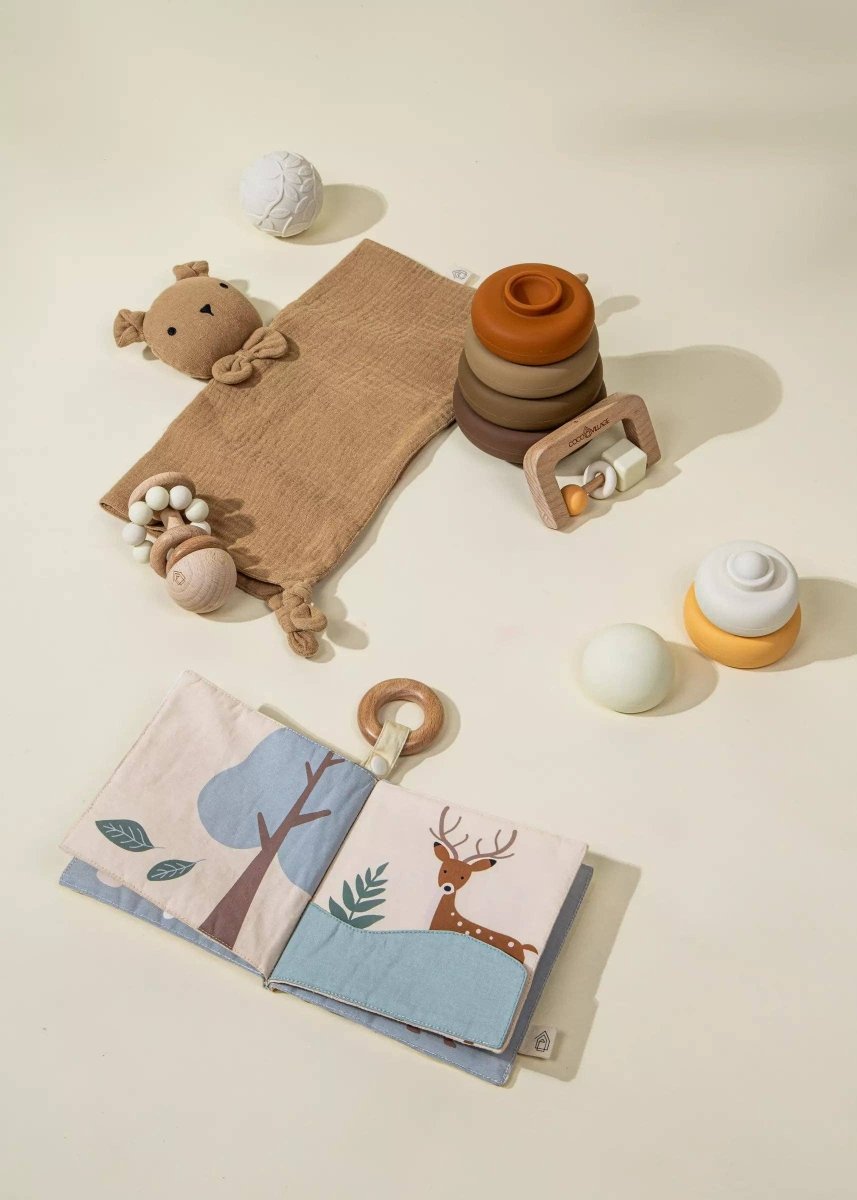 Baby First Toys Gift Box - Coco Village Toys sold by Rosebud & Jo