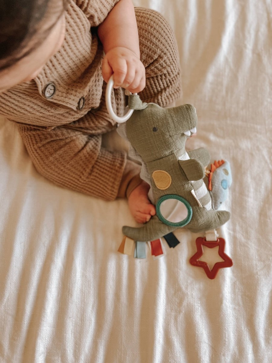 Bitzy Traveler - Itzy Ritzy Toy sold by Rosebud & Jo