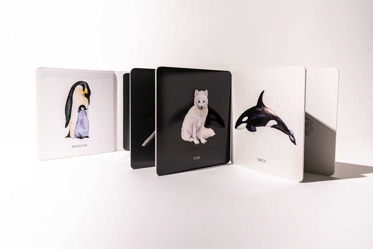 Black and White Contrast Book for Baby - Paige Tate & Co. Book sold by Rosebud & Jo