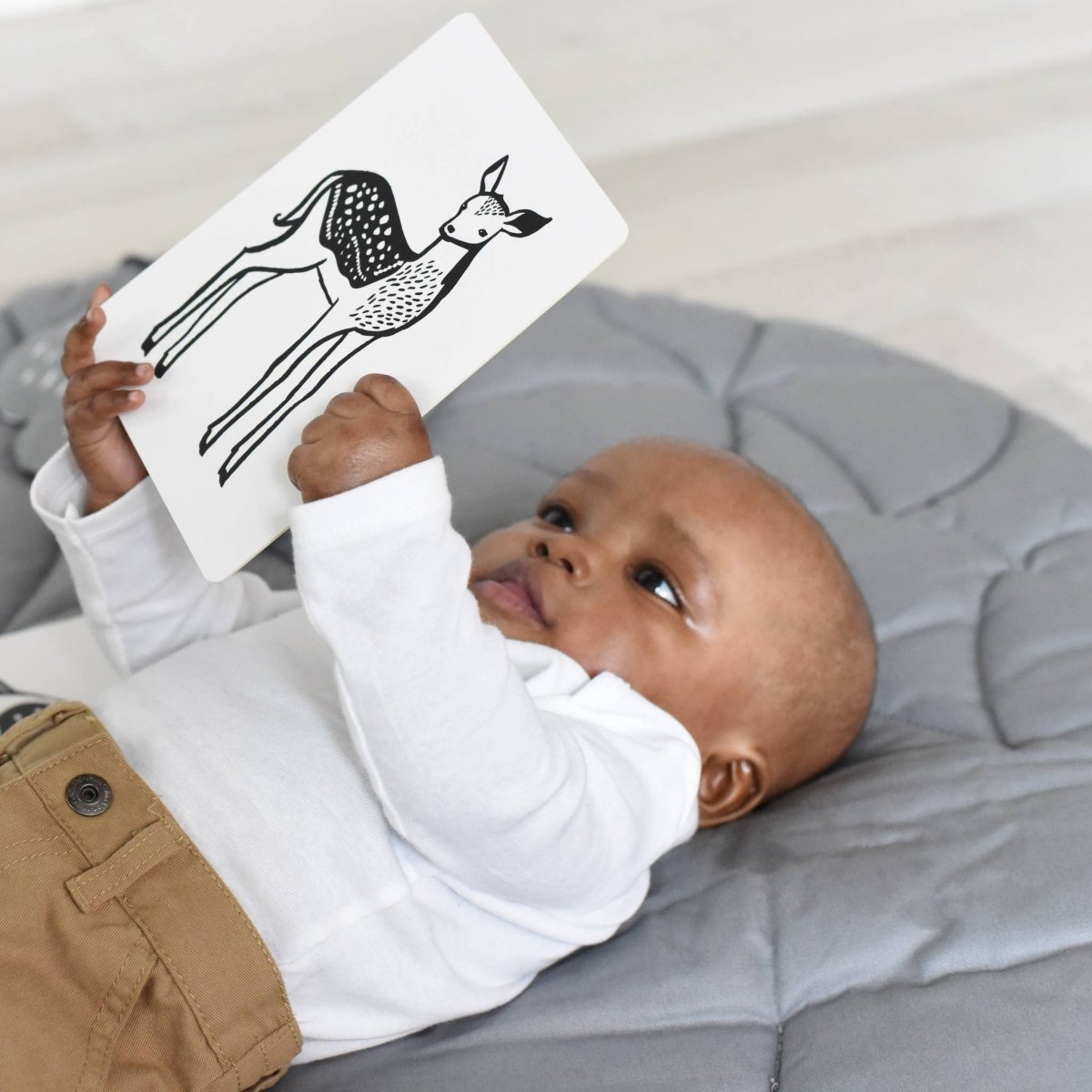 Black & White Animal Art Cards - Wee Gallery Toys sold by Rosebud & Jo