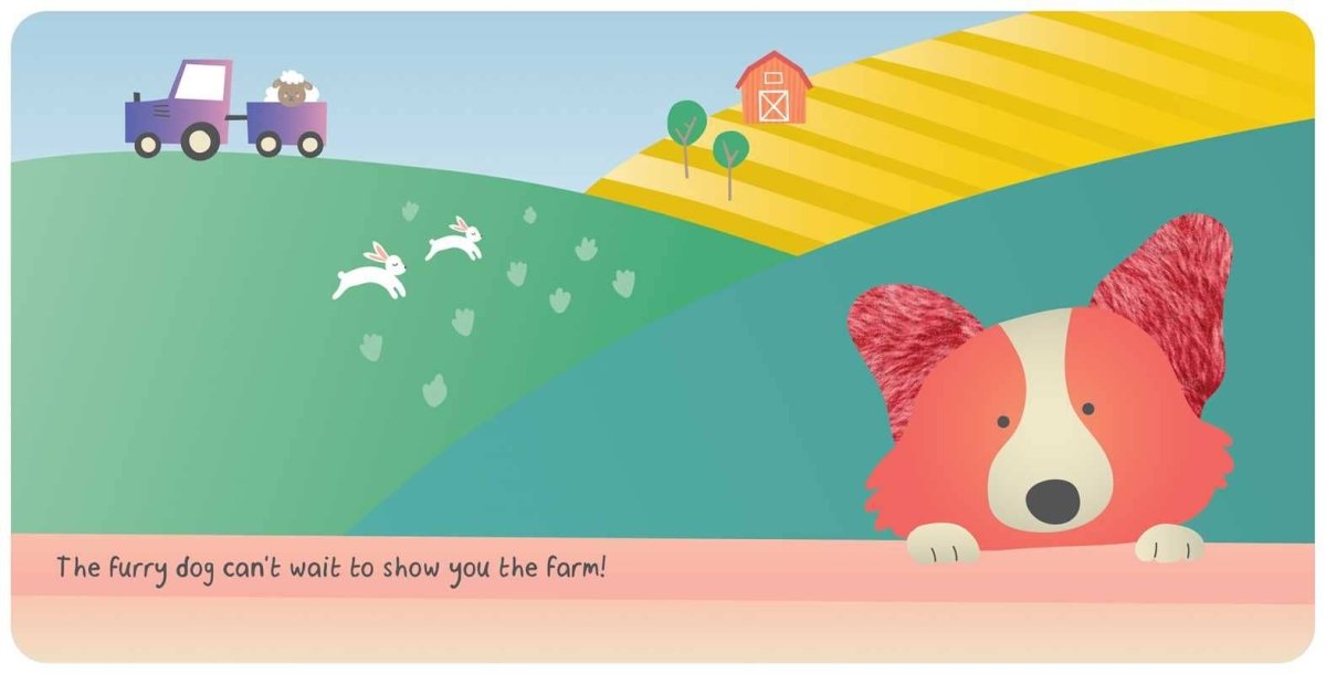 Farm Animals: My First Touch & Feel Book - Simon & Schuster Book sold by Rosebud & Jo