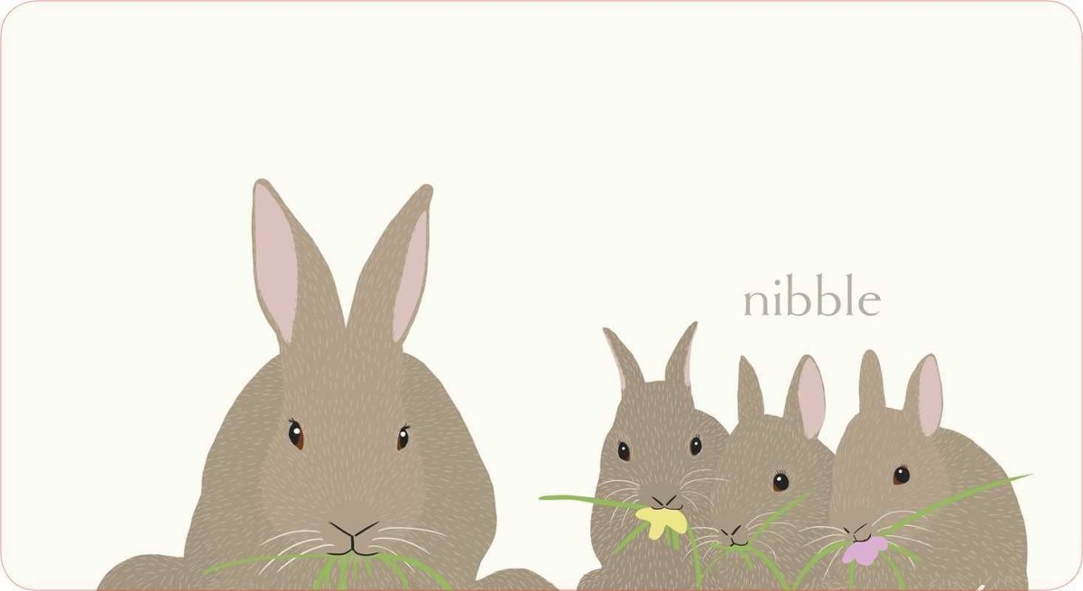 Hop by Jorey Hurley - Simon & Schuster Book sold by Rosebud & Jo