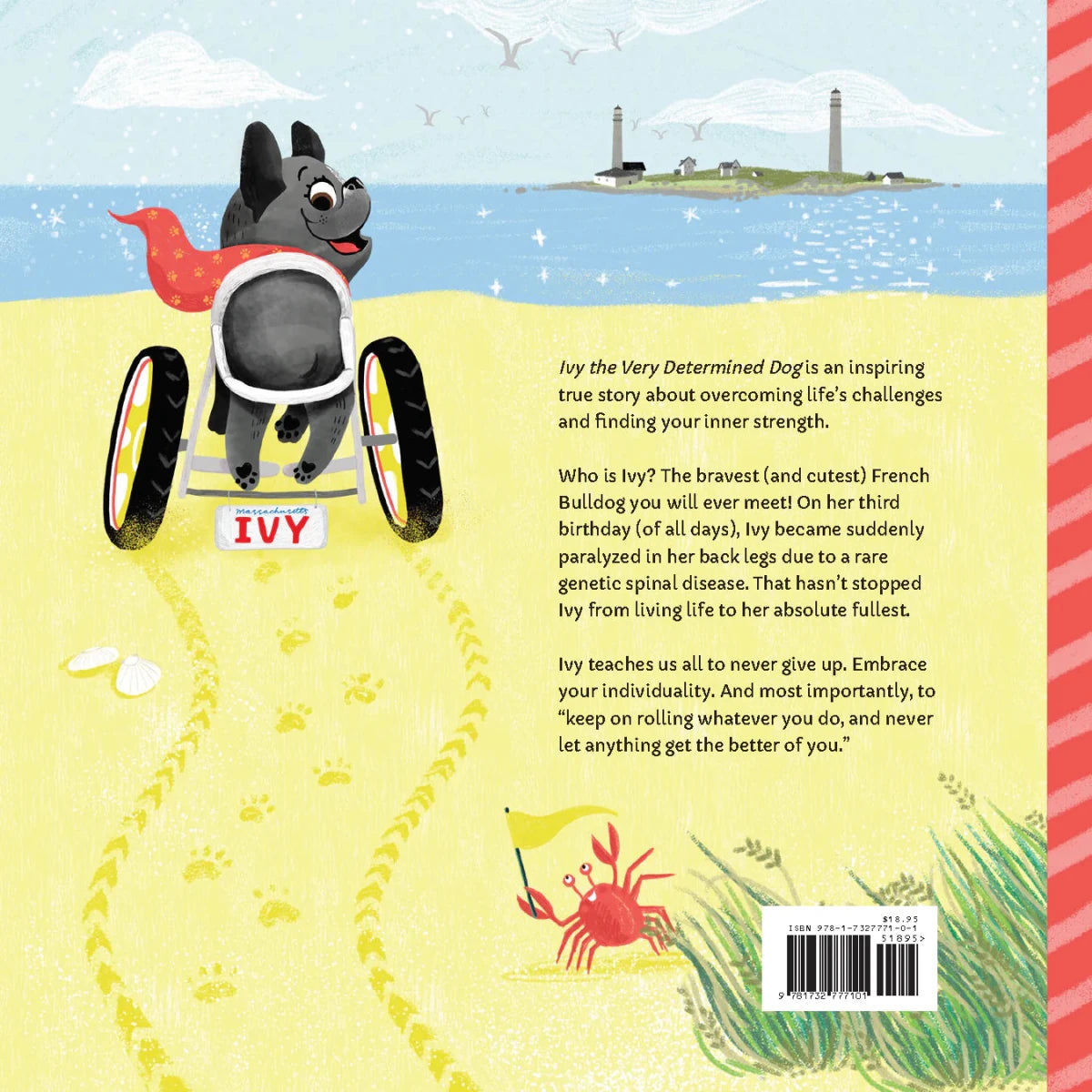 Ivy the Very Determined Dog - Broomfield Press Books sold by Rosebud & Jo