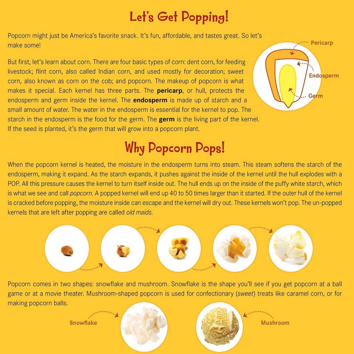 Let's Pop, Pop, Popcorn! Picture Book - Sleeping Bear Press Books sold by Rosebud & Jo