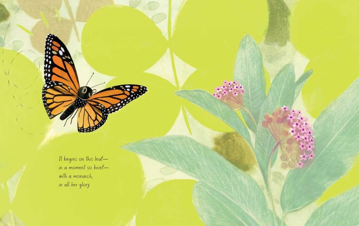 Monarch by Kirsten Hall - Simon & Schuster Book sold by Rosebud & Jo