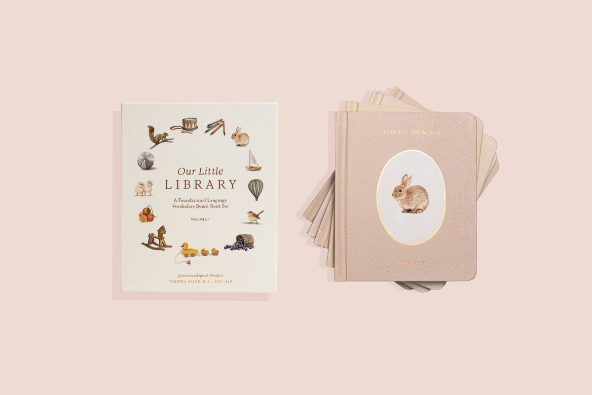 Our Little Library Board Book Set: Volume 1 - Paige Tate & Co. Book sold by Rosebud & Jo