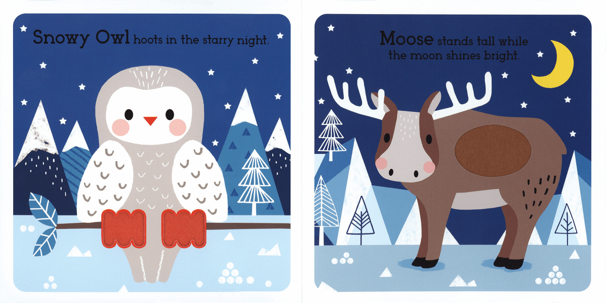 Read, Touch, Discover: Arctic Animals - EDC Publishing Book sold by Rosebud & Jo