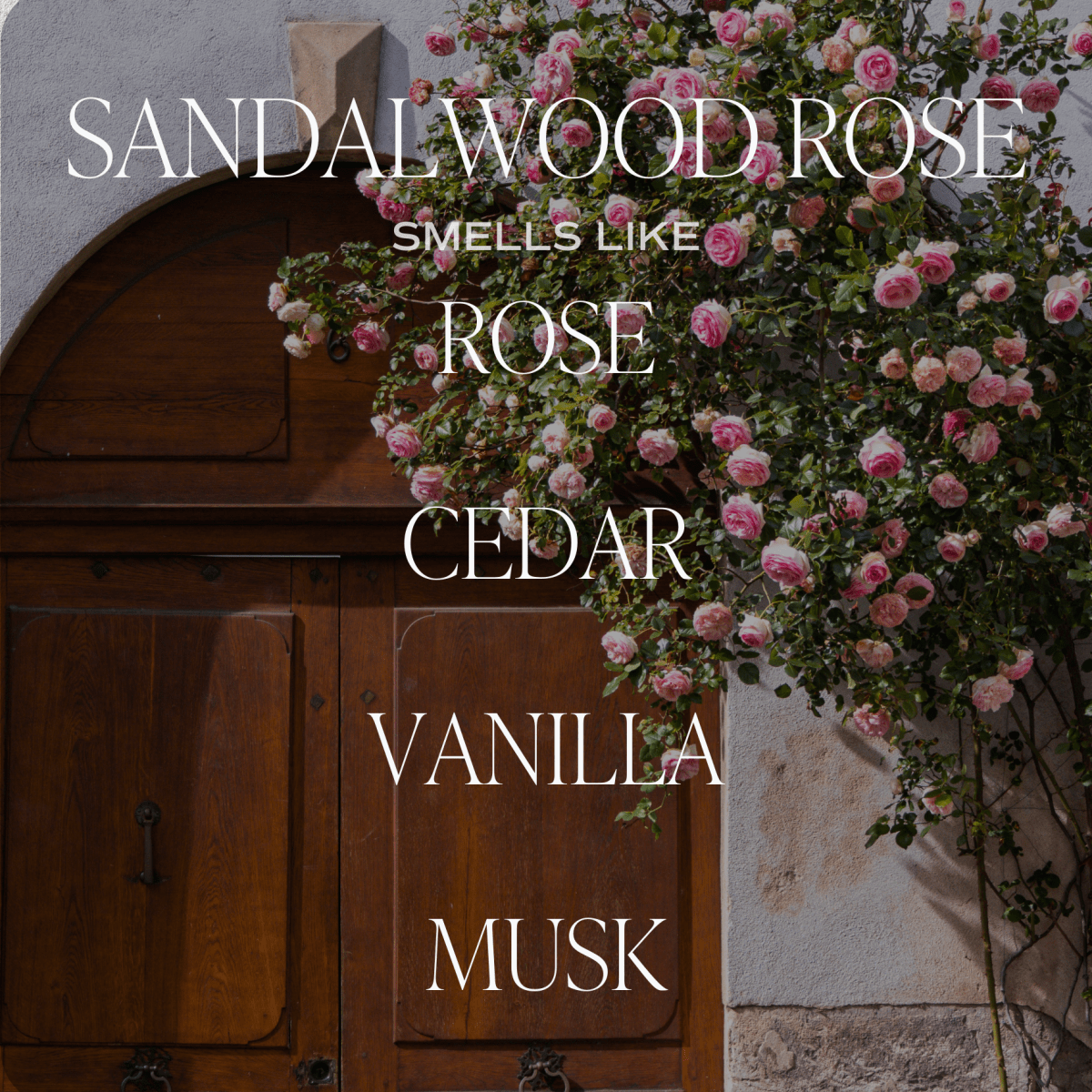 Sandalwood Rose Reed Diffuser - Sweet Water Decor sold by Rosebud & Jo