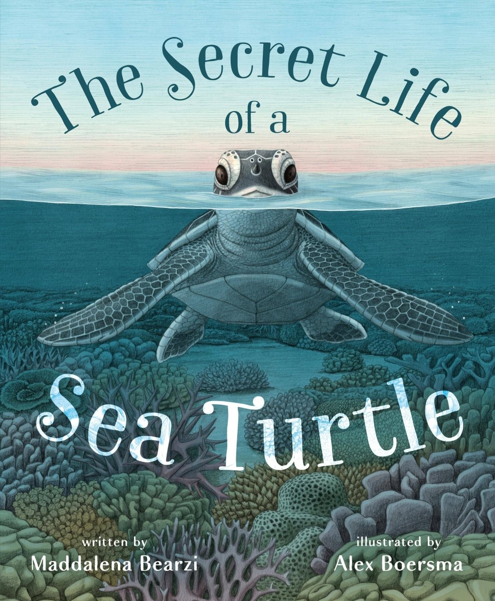 Secret Life Of A Sea Turtle - Macmillan Publishers Book sold by Rosebud & Jo