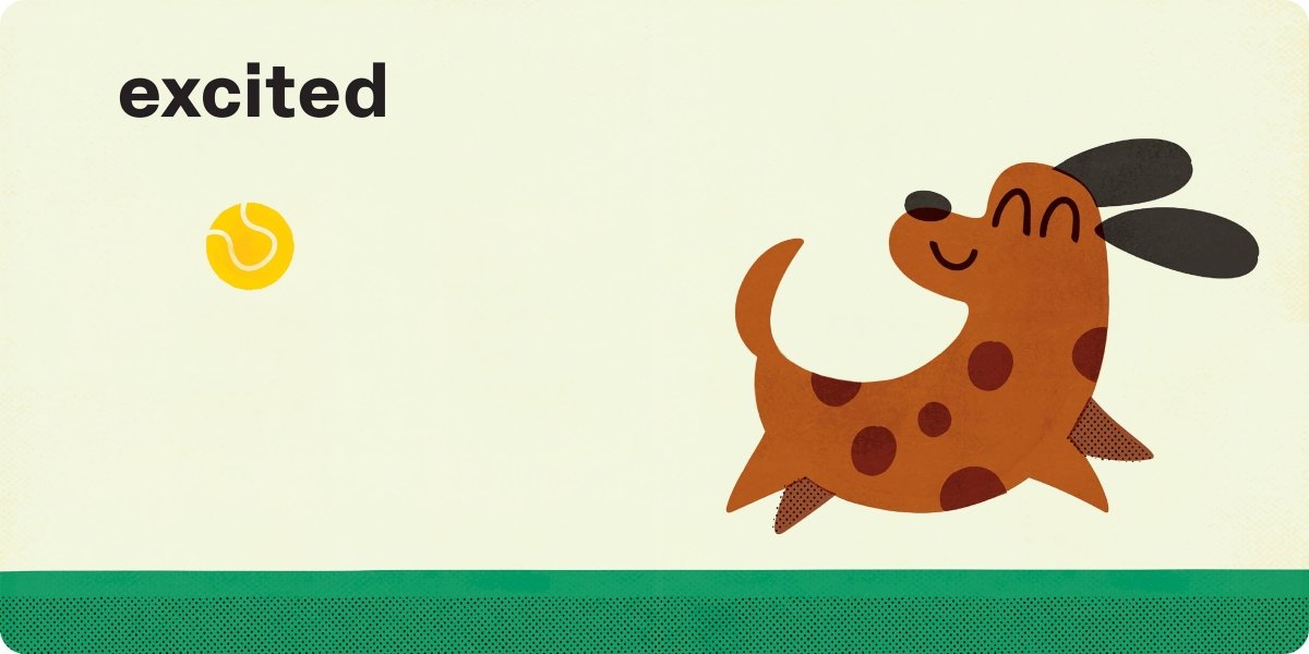 Spring Street All About Us: Feelings - Hachette Book Group Books sold by Rosebud & Jo