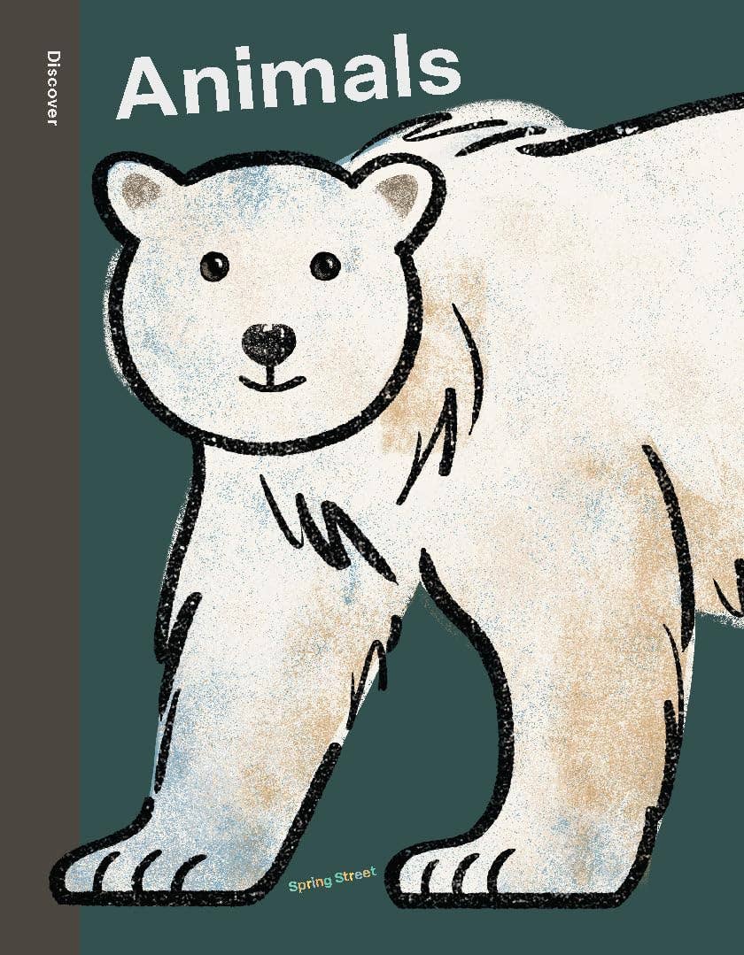 Spring Street Discover: Animals - Hachette Book Group Books sold by Rosebud & Jo