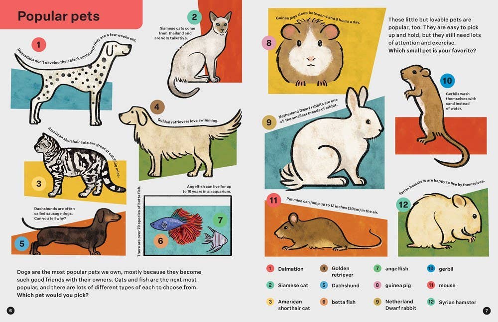 Spring Street Discover: Animals - Hachette Book Group Books sold by Rosebud & Jo