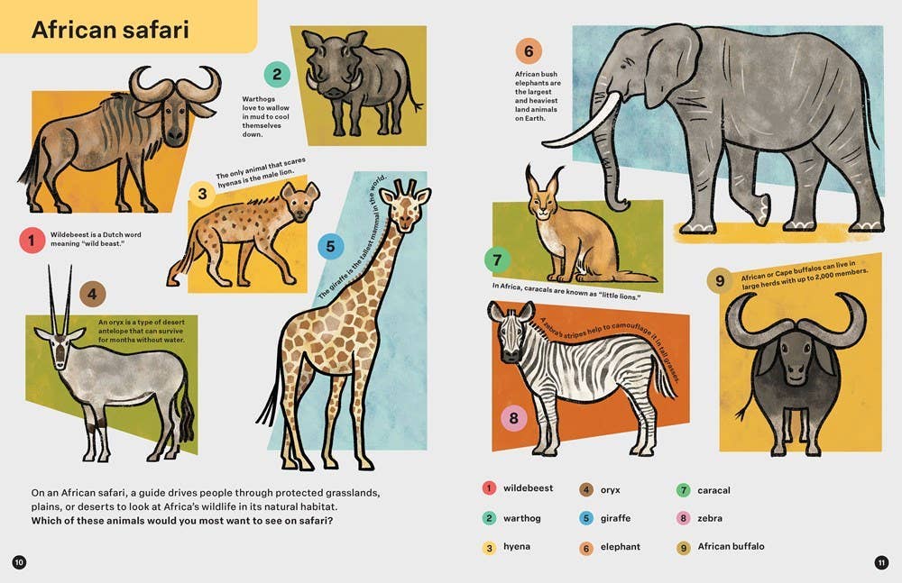Spring Street Discover: Animals - Hachette Book Group Books sold by Rosebud & Jo