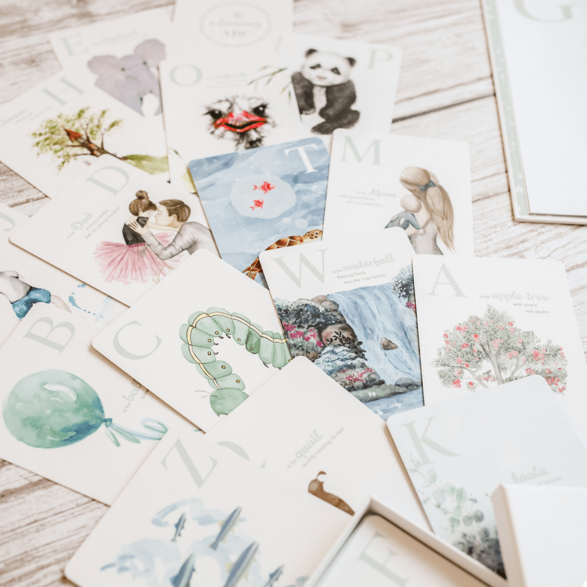 The Amazing ABC Flash Cards – Watercolor Alphabet Learning for Toddlers & Preschoolers - Adored Illustrations by Rosebud & Jo