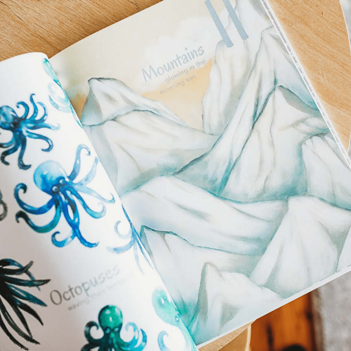 The Incredible 123 - Adored Illustrations Book sold by Rosebud & Jo