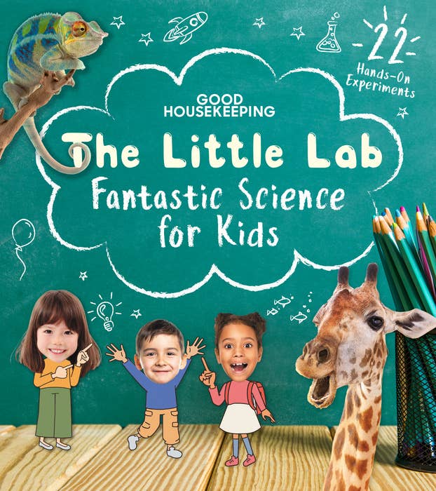 The Little Lab from Good Housekeeping - Penguin Random House LLC Book sold by Rosebud & Jo