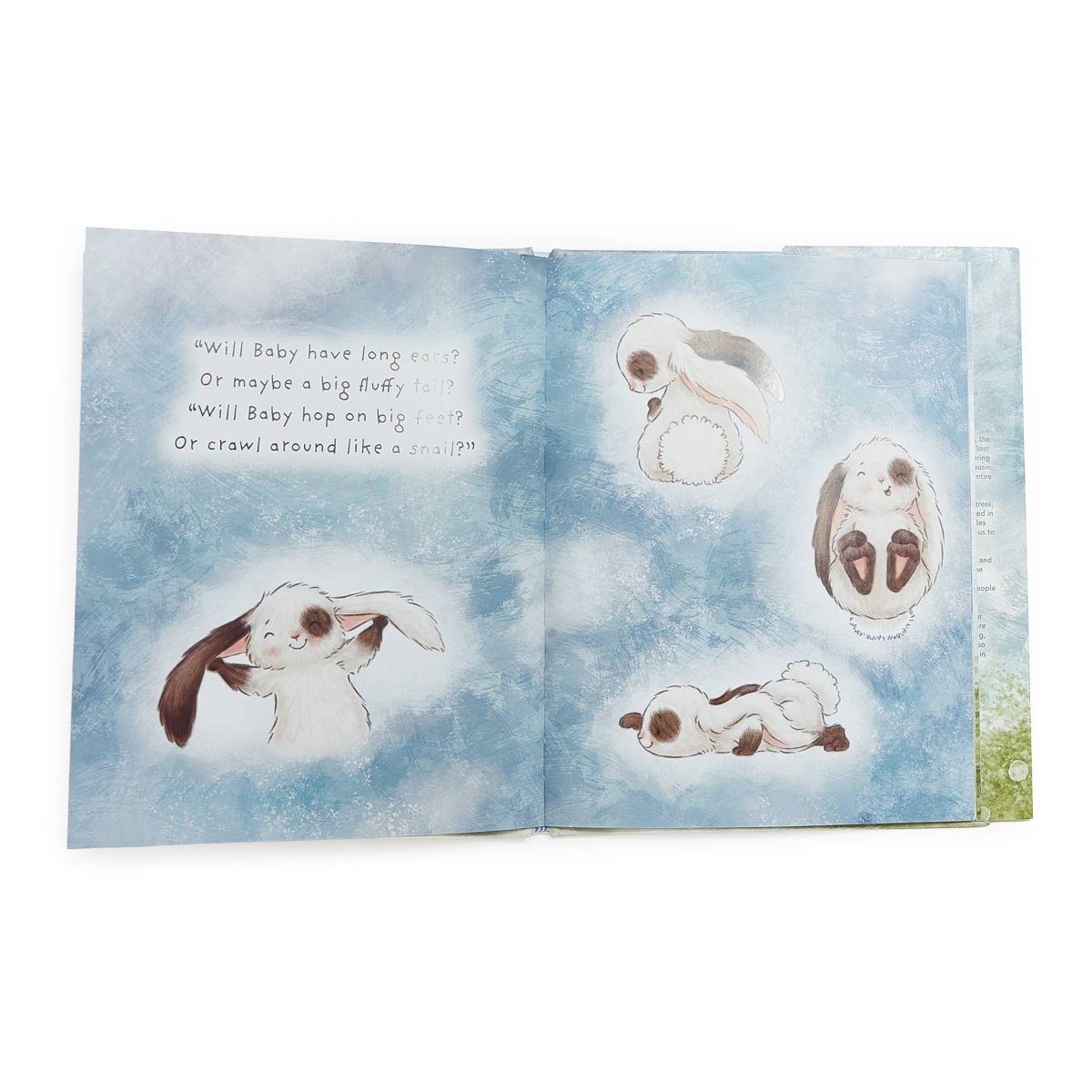 Who Will Our New Baby Be? - Bunnies By the Bay Books sold by Rosebud & Jo