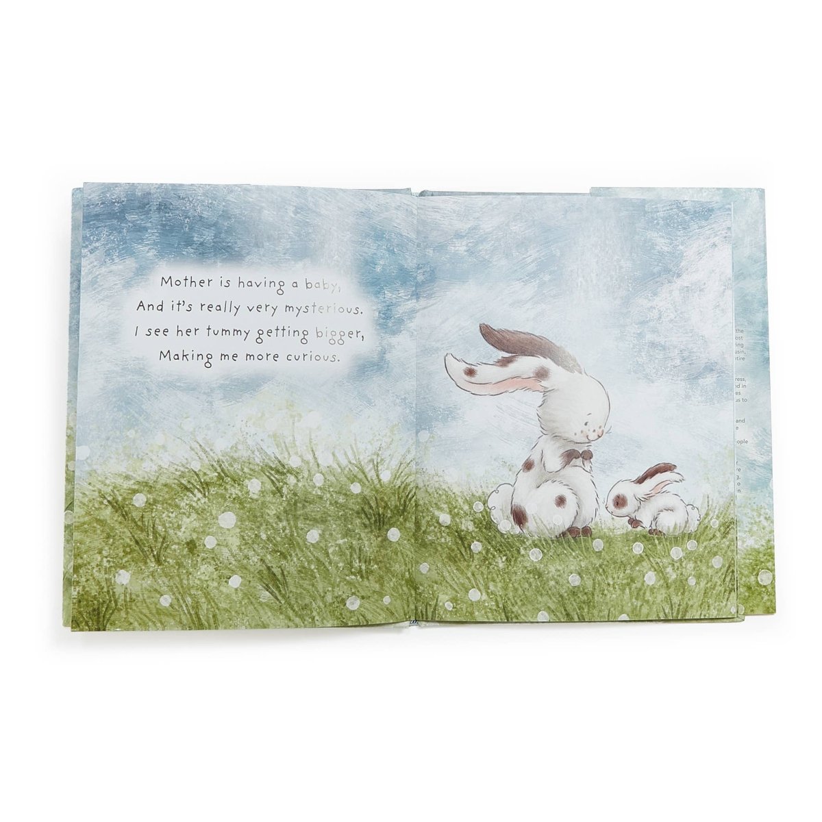 Who Will Our New Baby Be? - Bunnies By the Bay Books sold by Rosebud & Jo