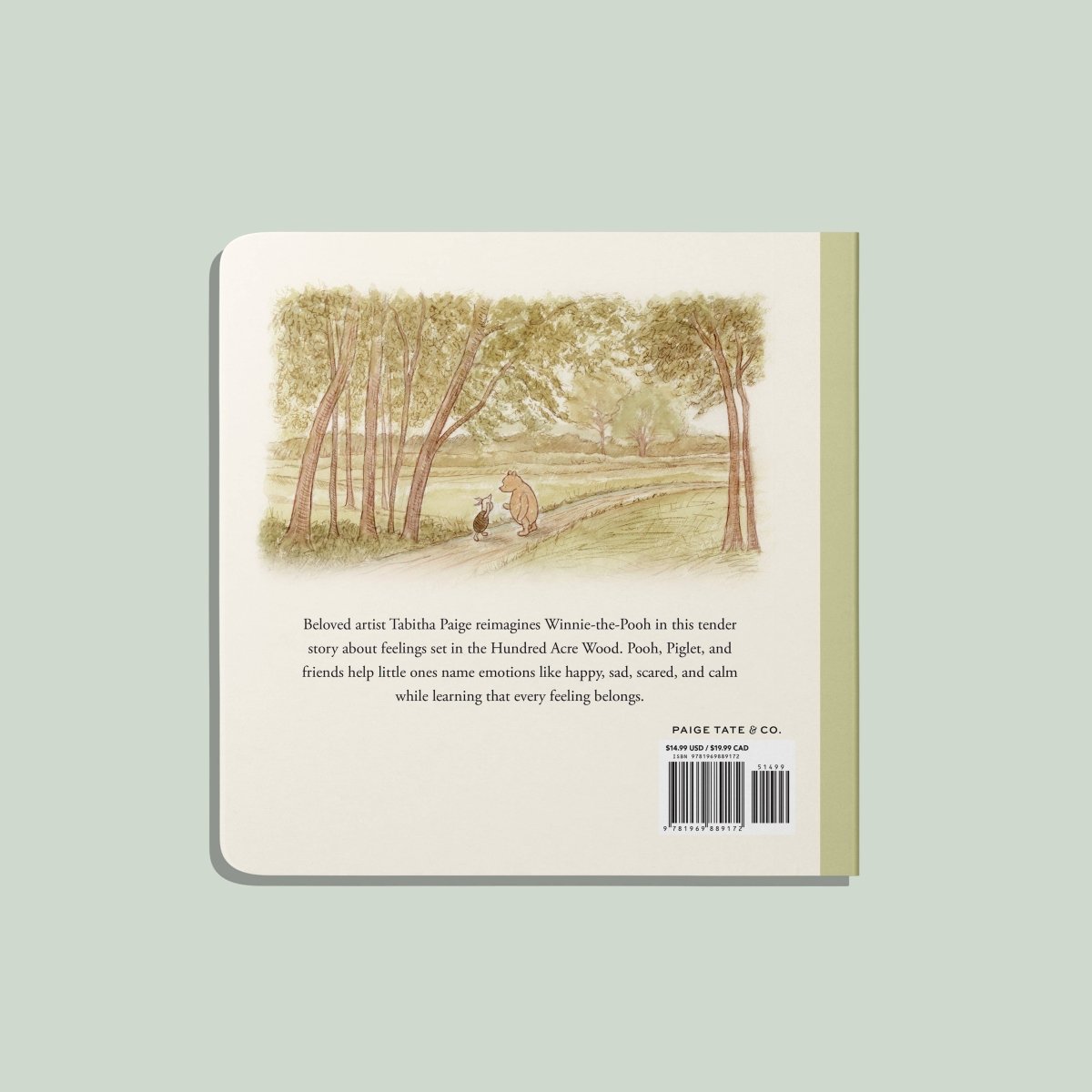 Winnie-the-Pooh: Finding Feelings - Paige Tate & Co. Books sold by Rosebud & Jo