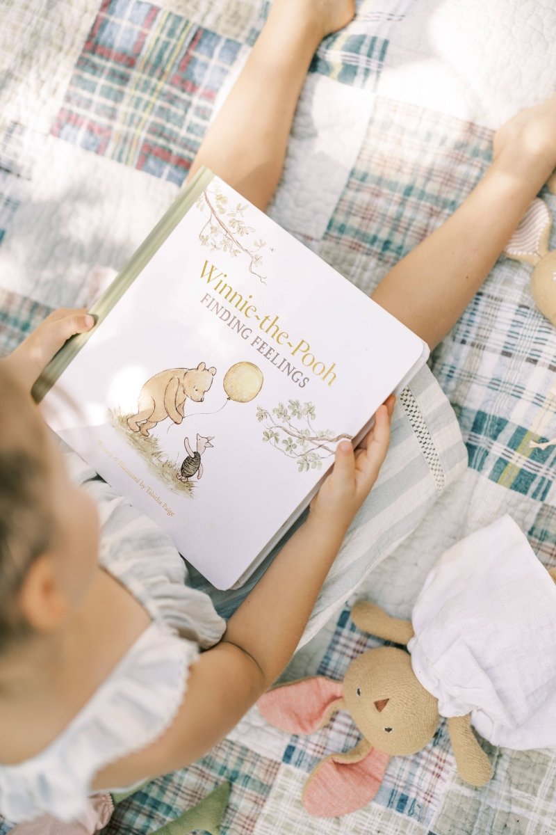 Winnie-the-Pooh: Finding Feelings - Paige Tate & Co. Books sold by Rosebud & Jo