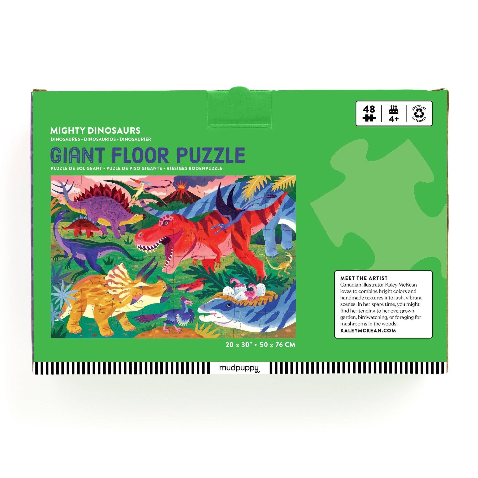 Giant floor puzzle packaging with colorful dinosaurs on a green background