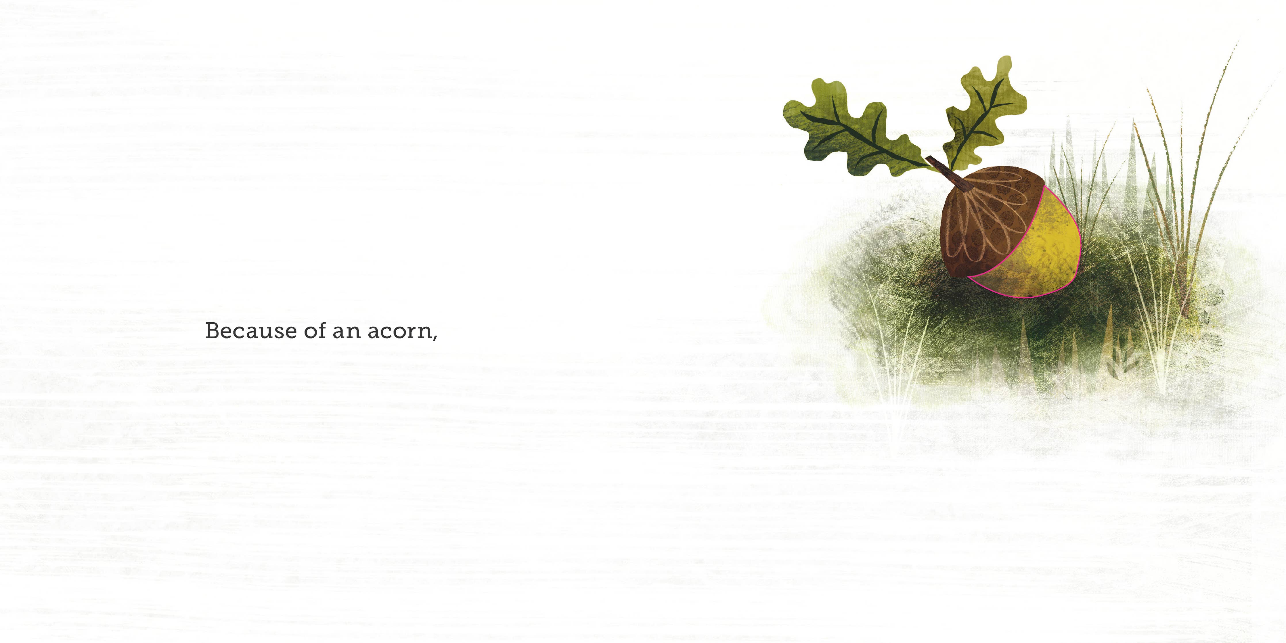 Illustration of an acorn with leaves on a white background