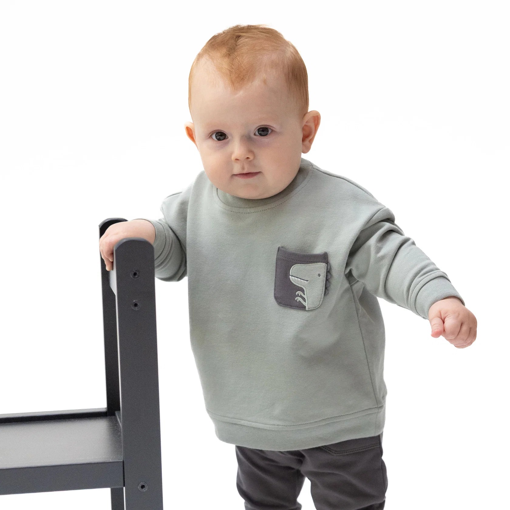 Dinos French Terry - Drop Sleeve Sweatshirt