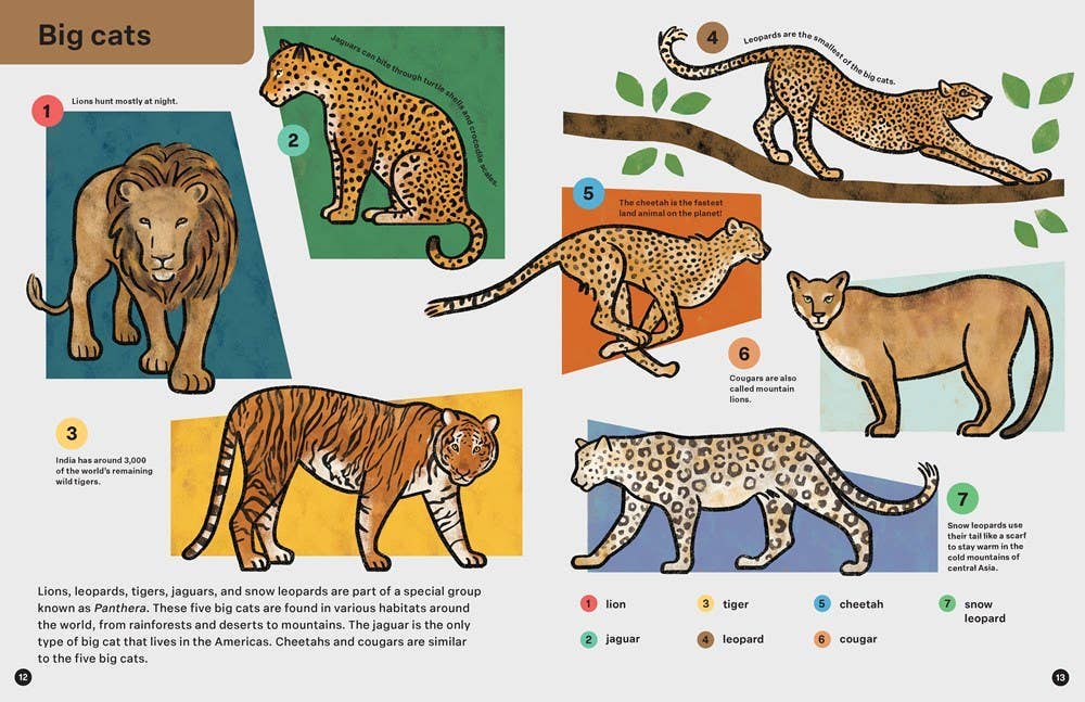 Spring Street Discover: Animals