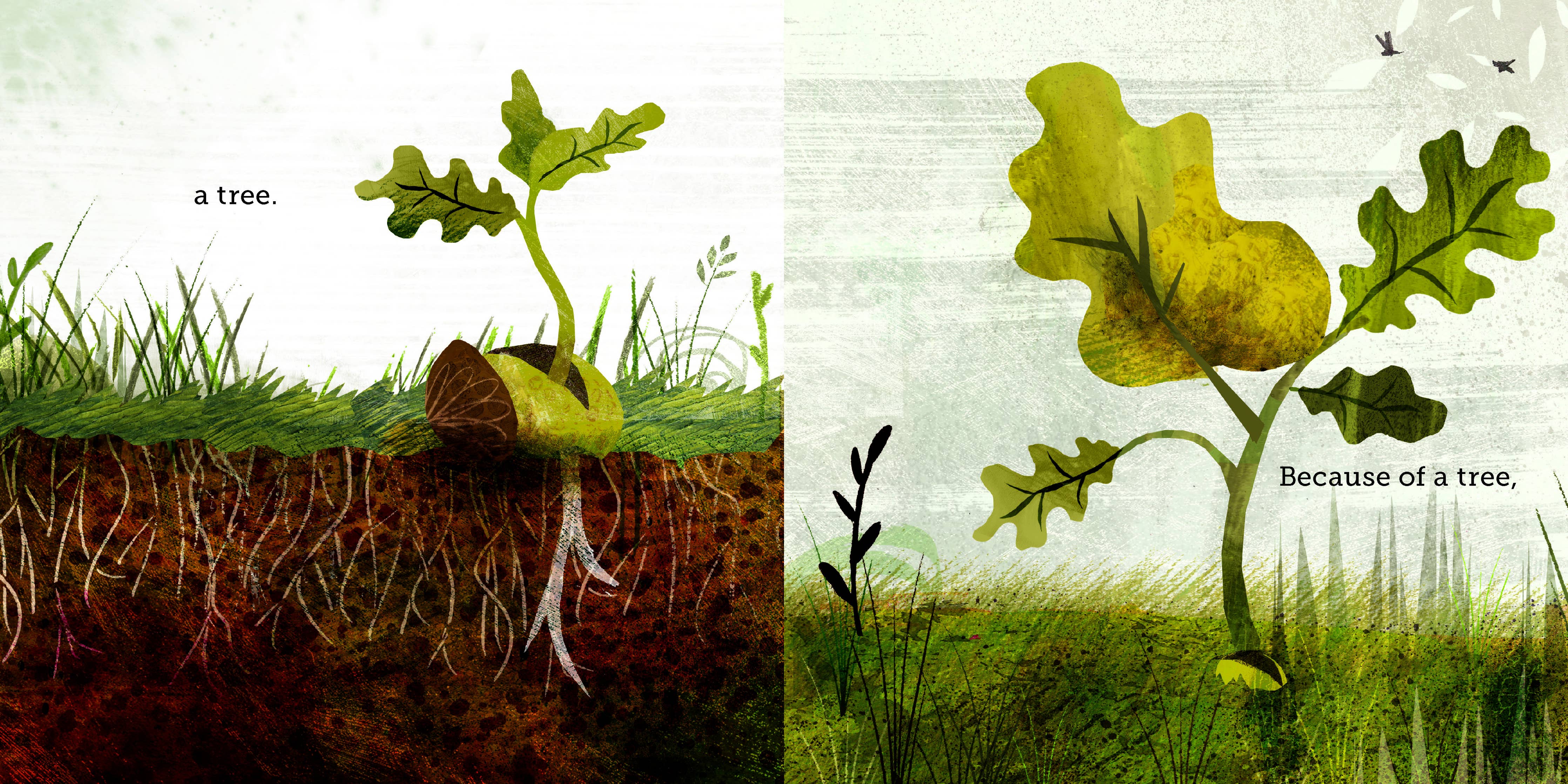 Illustration of a tree growing from a seedling to a full-sized tree with text 'a tree.' and 'Because of a tree'.