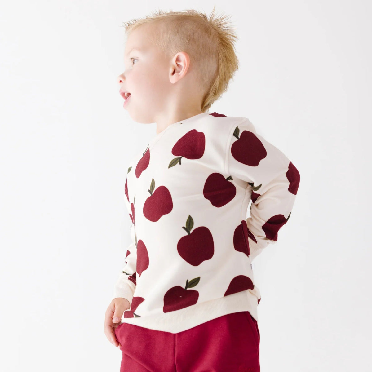 Apples Bamboo French Terry Pullover - Brave Little Ones Baby & Toddler Clothing sold by Rosebud & Jo