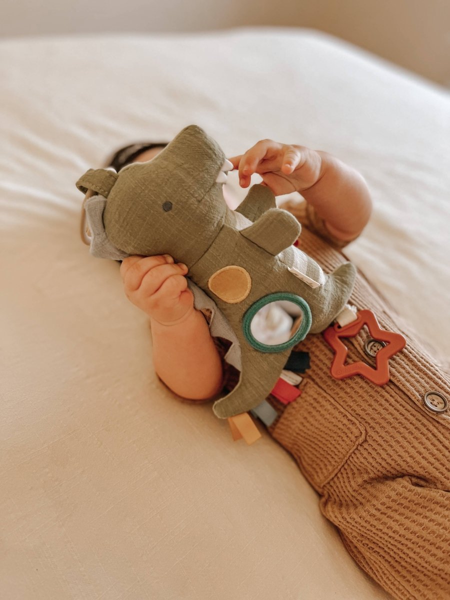 Bitzy Traveler - Itzy Ritzy Toy sold by Rosebud & Jo