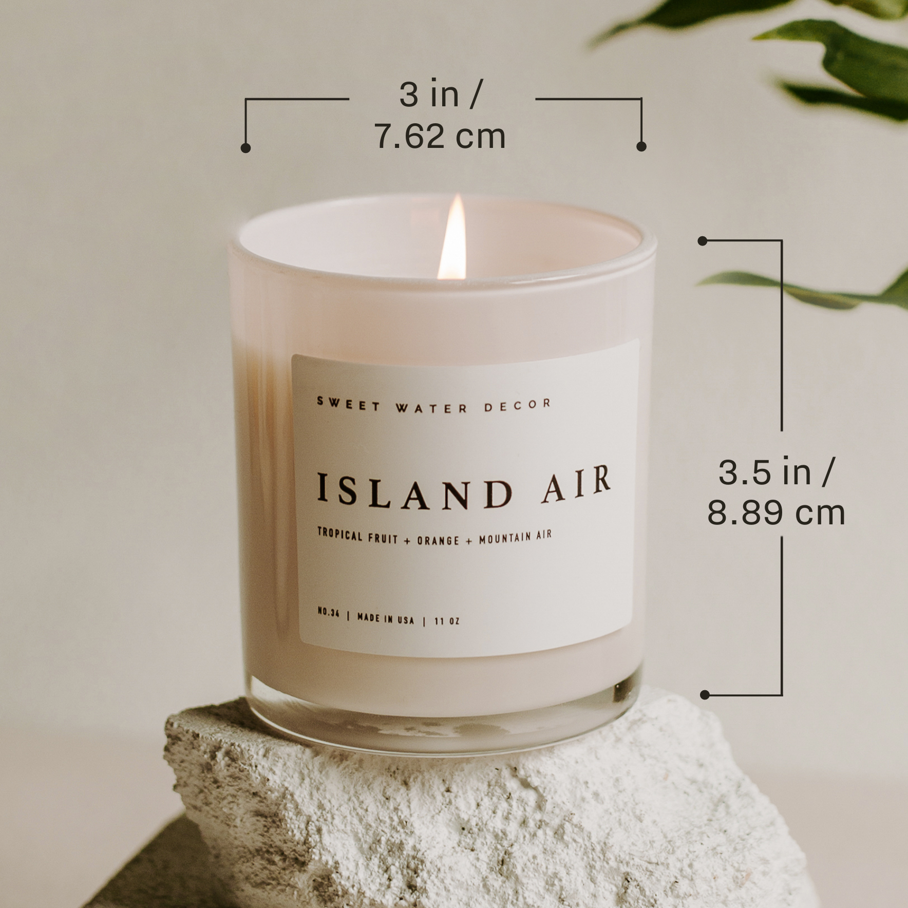 Fraser Fir Soy Candle