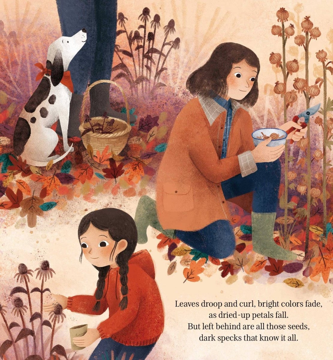 Every Little Seed Picture Book - Sleeping Bear Press Books sold by Rosebud & Jo