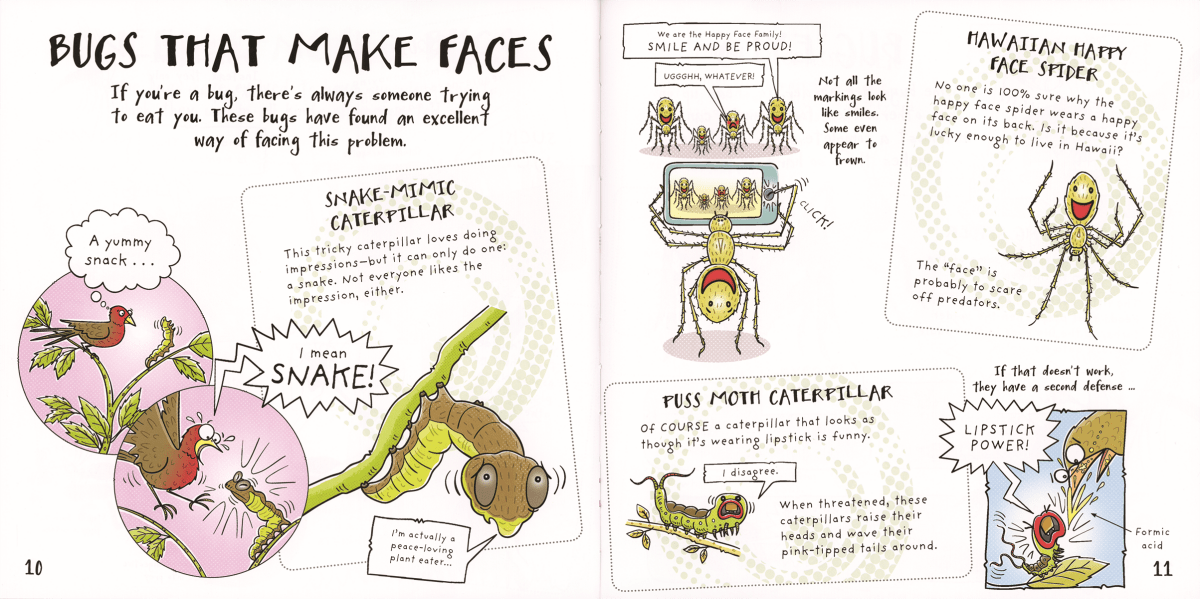 Funny Bugs - EDC Publishing sold by Rosebud & Jo