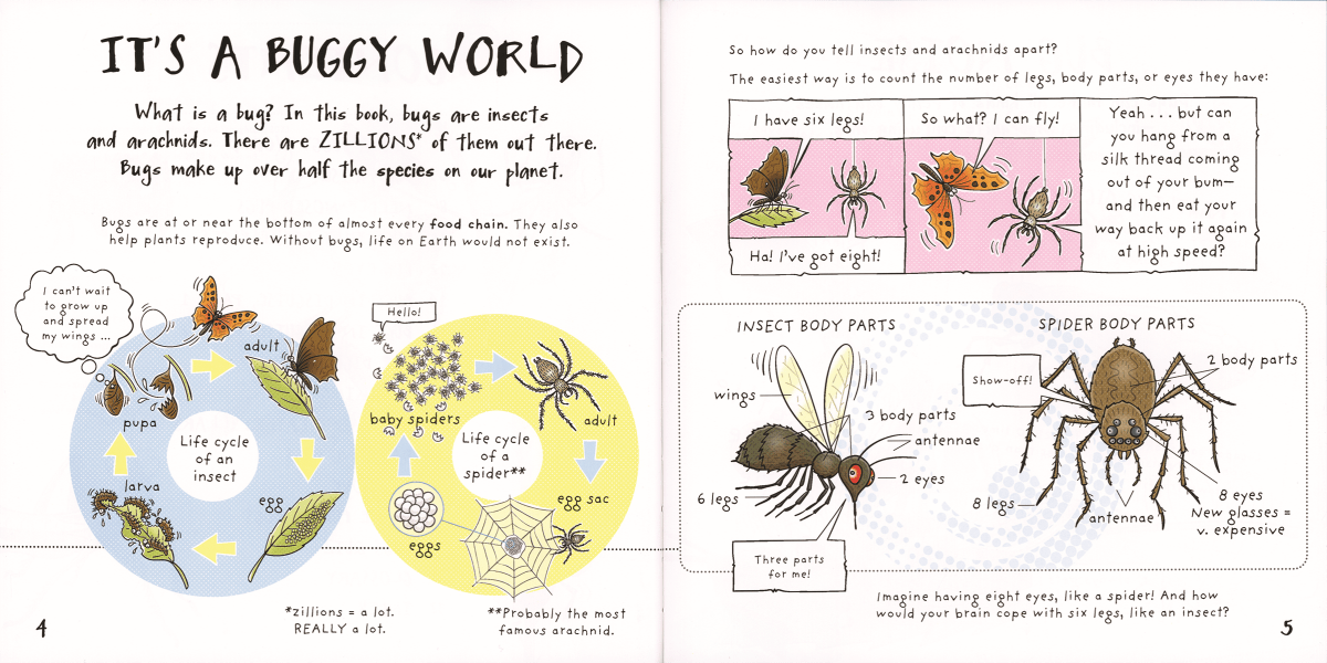 Funny Bugs - EDC Publishing sold by Rosebud & Jo