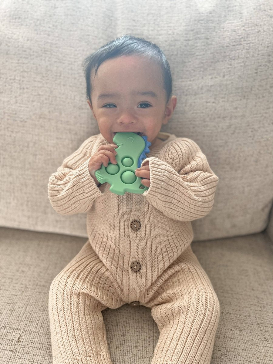 Itzy Pop Sensory Popper Toy - Dino - Itzy Ritzy Teether sold by Rosebud & Jo