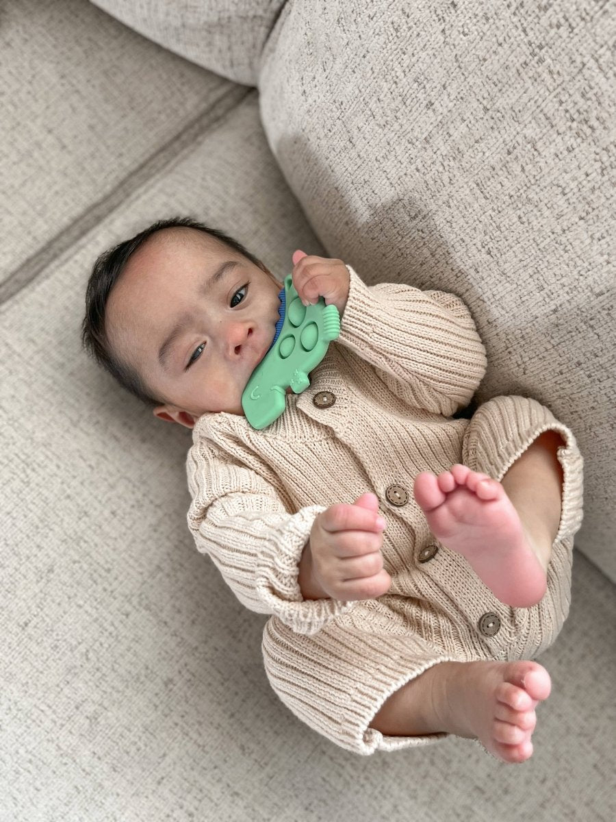 Itzy Pop Sensory Popper Toy - Dino - Itzy Ritzy Teether sold by Rosebud & Jo