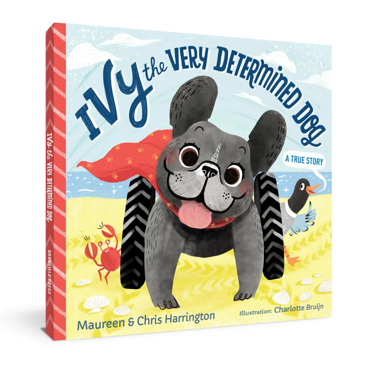 Ivy the Very Determined Dog - Broomfield Press Books sold by Rosebud & Jo