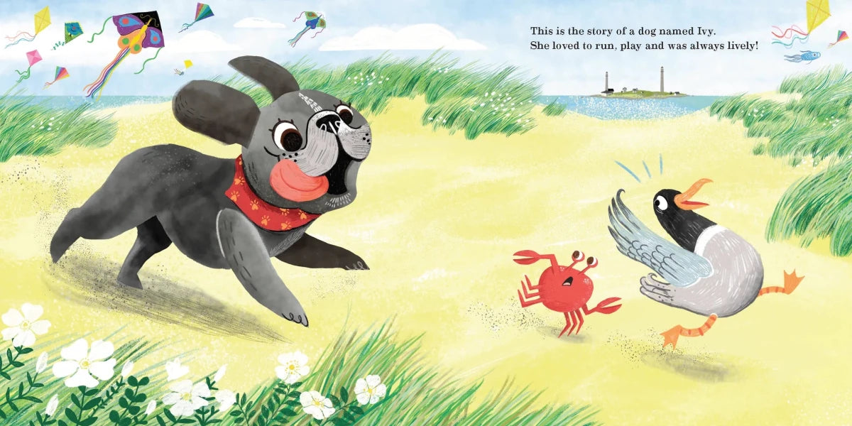 Ivy the Very Determined Dog - Broomfield Press Books sold by Rosebud & Jo