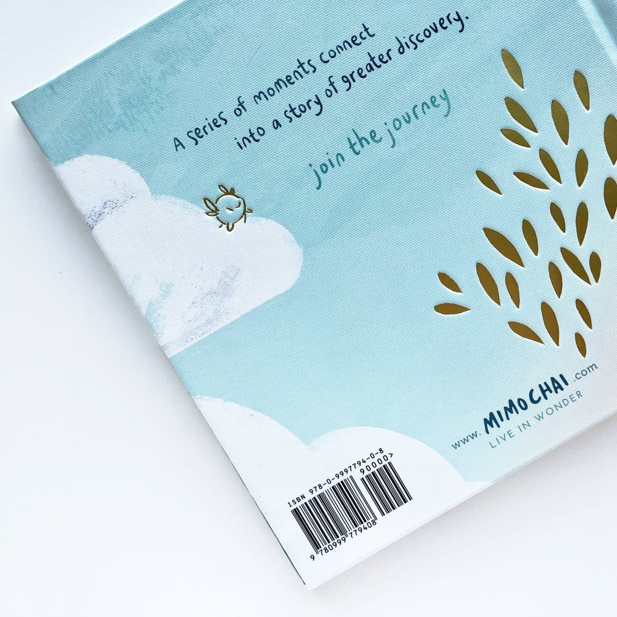 Let’s Go Explore Book - Mimochai Books sold by Rosebud & Jo