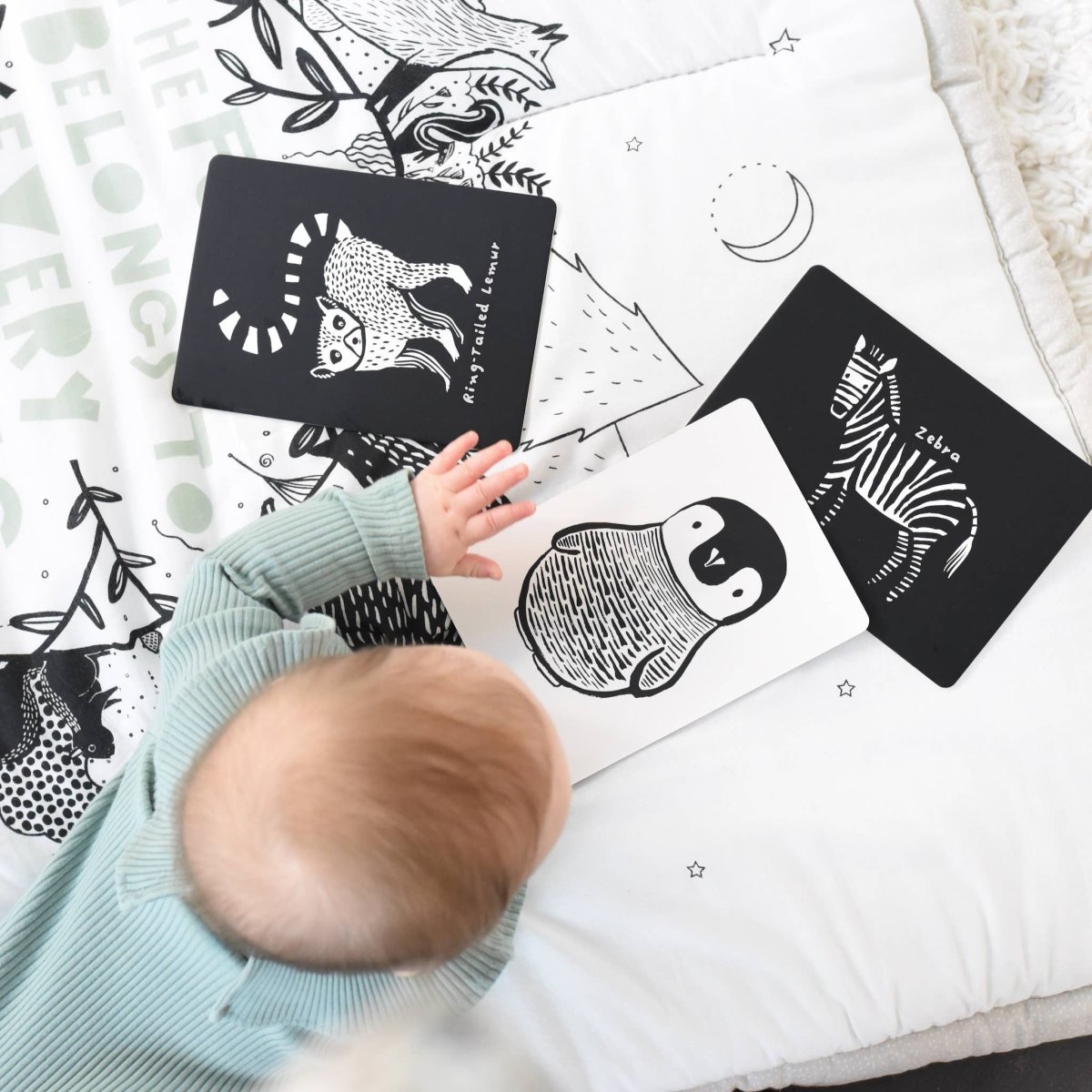 Little Naturalist Gift Set - Black & White - Wee Gallery Toys sold by Rosebud & Jo