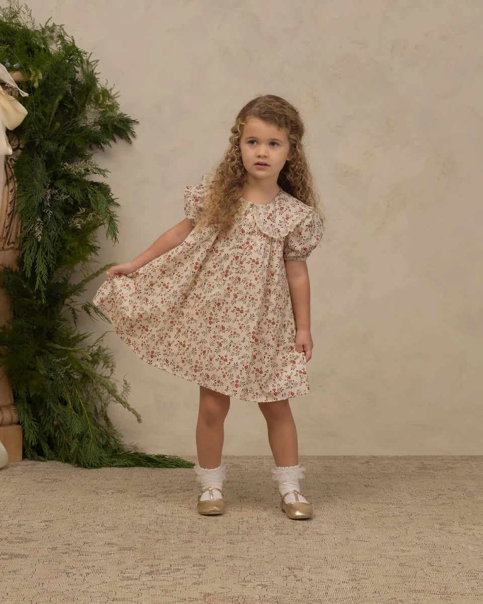 Lori Dress in Holly Vines - Noralee Dresses sold by Rosebud & Jo