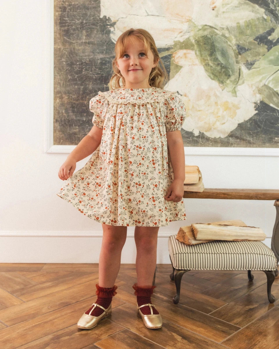 Lori Dress in Holly Vines - Noralee Dresses sold by Rosebud & Jo