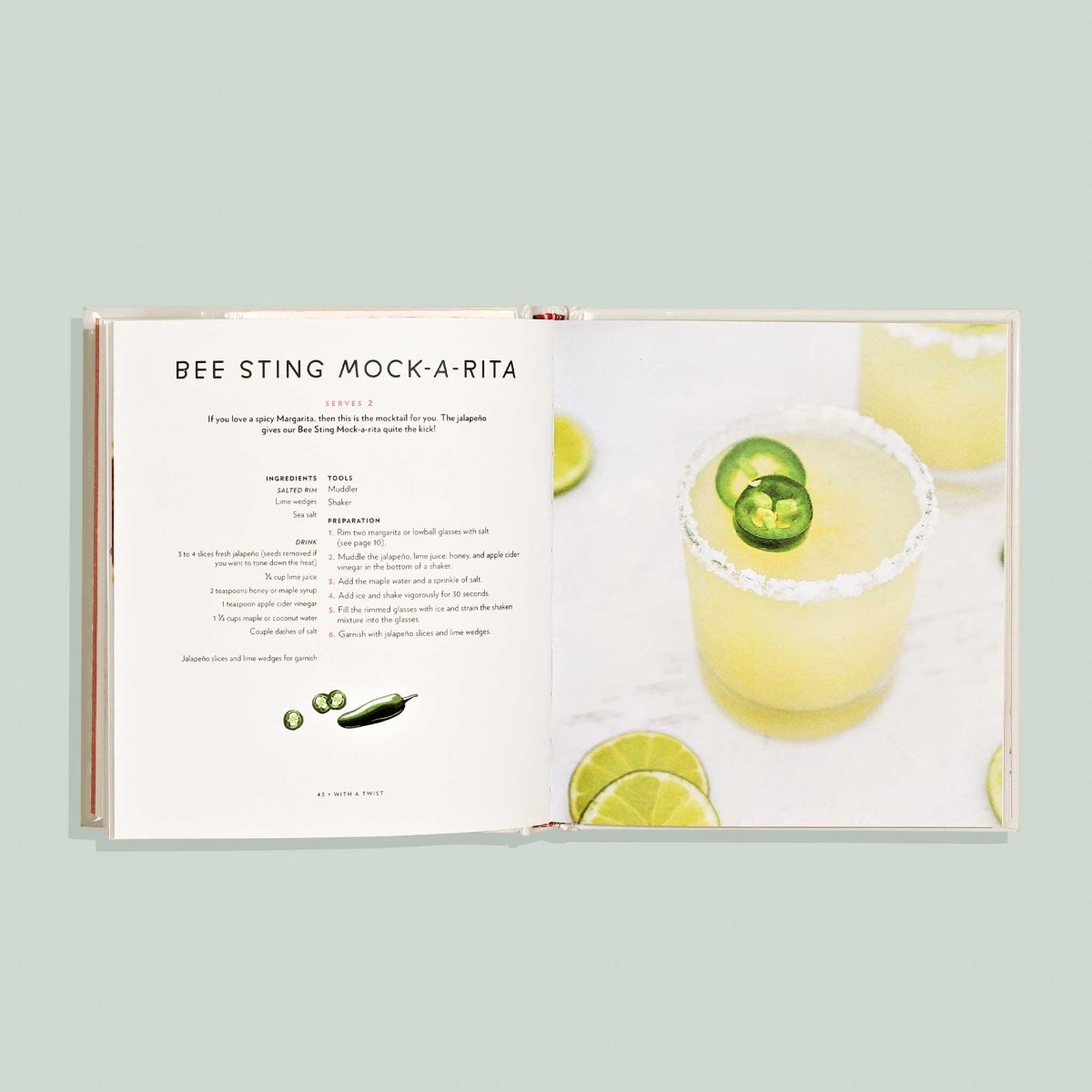 Mocktail Party: 75 Plant-Based, Non-Alcoholic Mocktail Recipes - Paige Tate & Co. Books sold by Rosebud & Jo