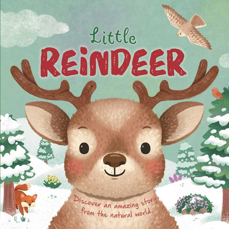 Nature Stories: Little Reindeer by IglooBooks - Simon & Schuster Books sold by Rosebud & Jo