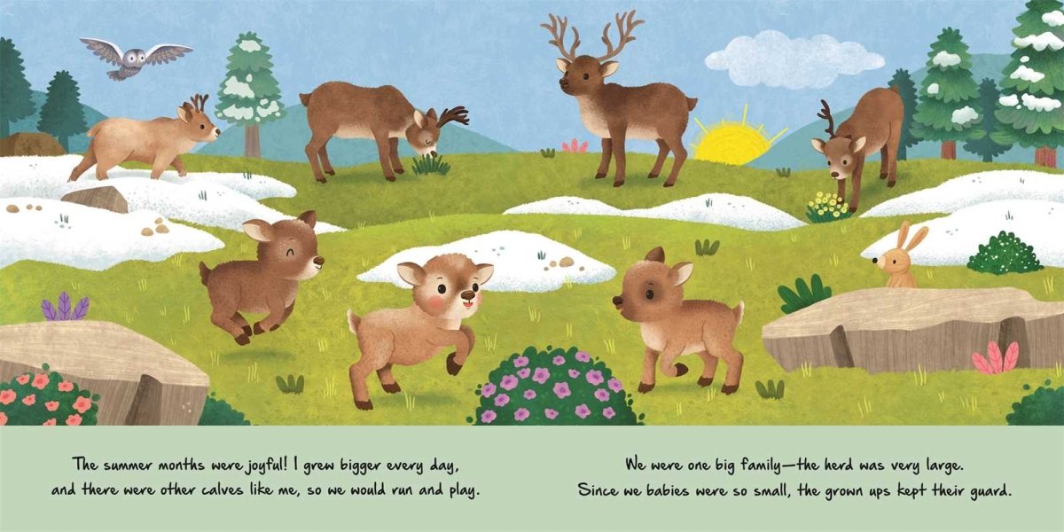 Nature Stories: Little Reindeer by IglooBooks - Simon & Schuster Books sold by Rosebud & Jo