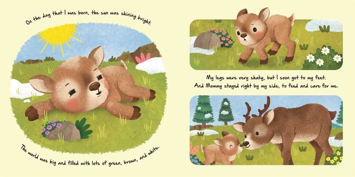 Nature Stories: Little Reindeer by IglooBooks - Simon & Schuster Books sold by Rosebud & Jo