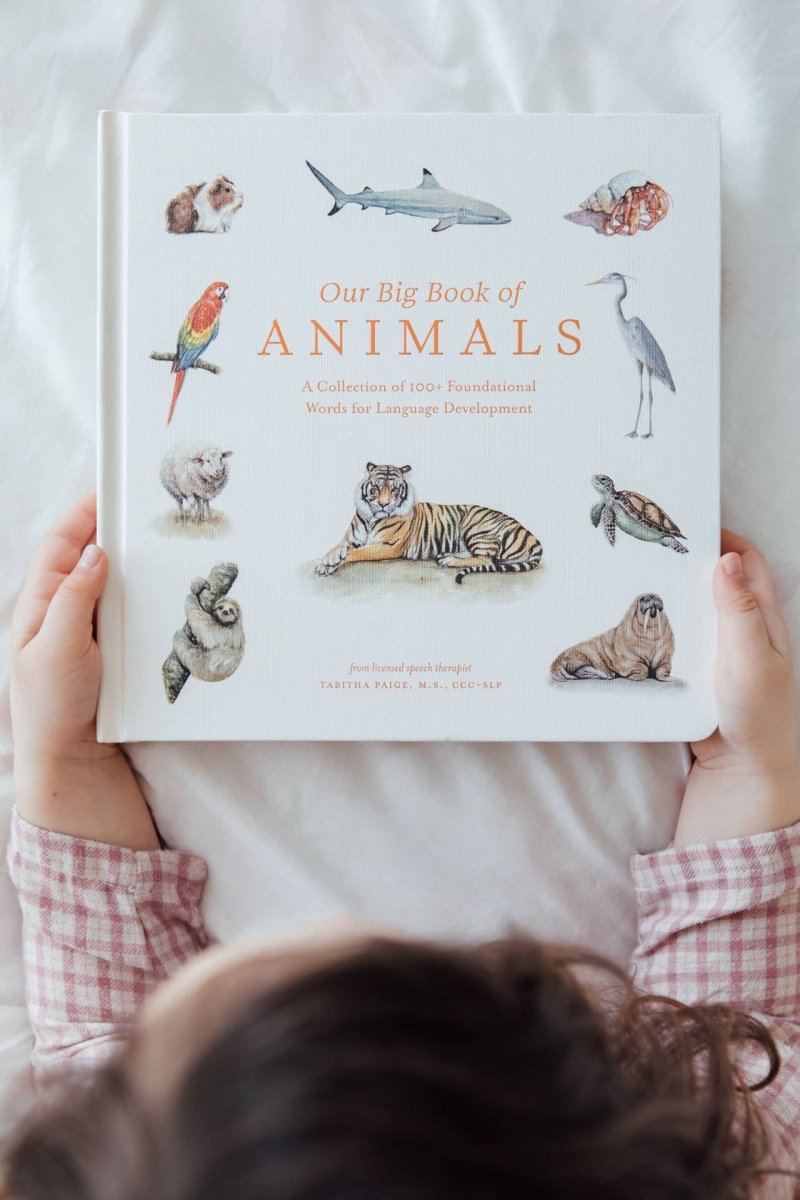 Our Big Book of Animals (Board Book) - Paige Tate & Co. Books sold by Rosebud & Jo